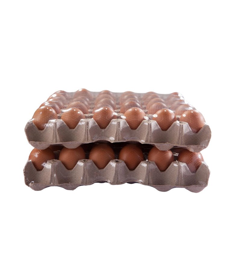 Macro Perforated POF Shrink Film
